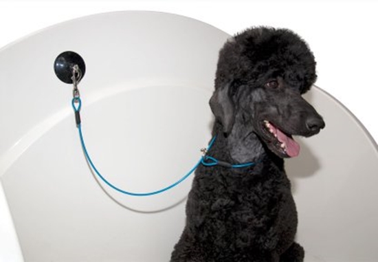 Picture of SHOW TECH BATH RESTRAINT FOR DOGS